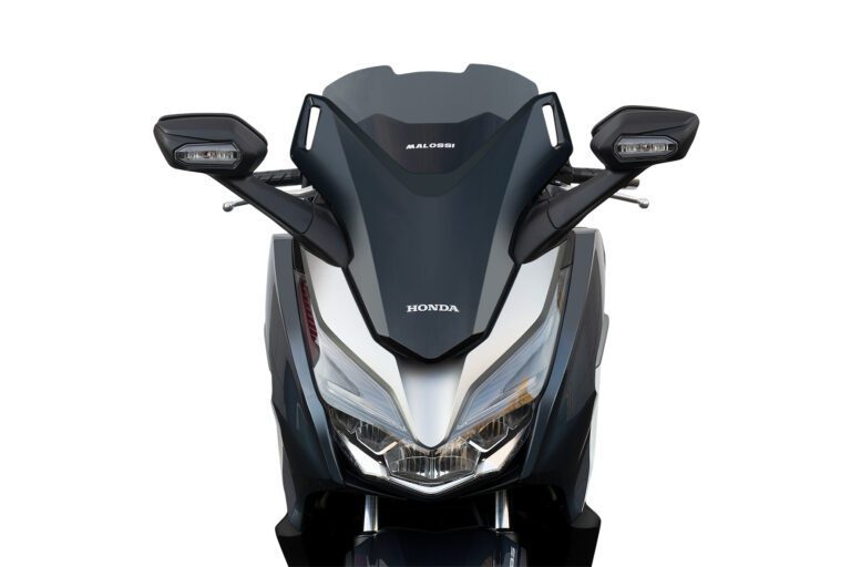 ΖΕΛΑΤΙΝΑ MALOSSI HONDA FORZA300 18- W 395 x H 400 THK 3mm (4518331)